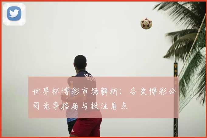 世界杯博彩市场解析:各类博彩公司竞争格局与投注看点